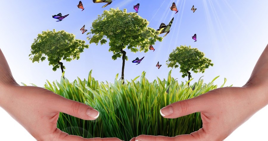 Compromiso Ambiental